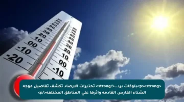 <p><strong>بلوكات برد..</strong> تحذيرات الأرصاد تكشف تفاصيل موجة الشتاء القارس القادمة وأثرها على المناطق المختلفة</p>